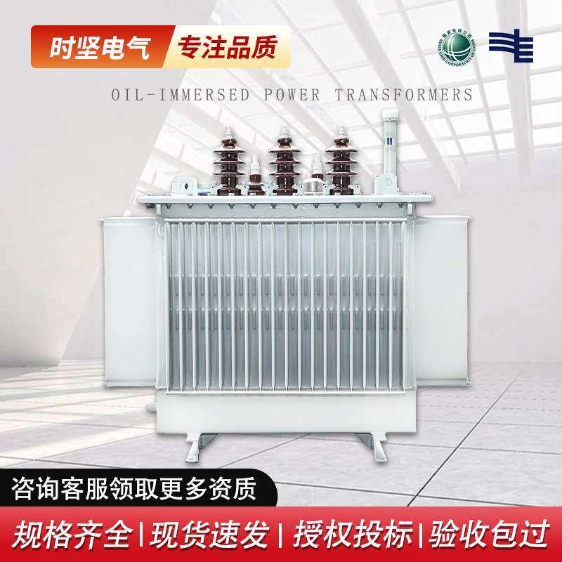 三相铜10kv高压工厂变压器S13-M-80-200-315KVA油浸式电力变压器