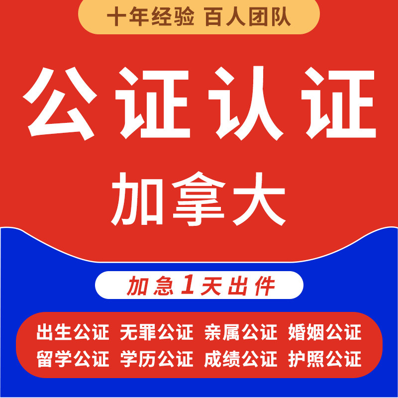加拿大翻译公证出生无犯罪海牙亲属关系学历成绩驾照委托海牙认证图片