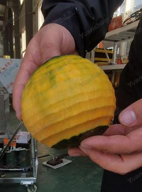 源KFF头厂家供应自动皮机锈洋芋削皮机 不钢哈削密瓜 削皮机