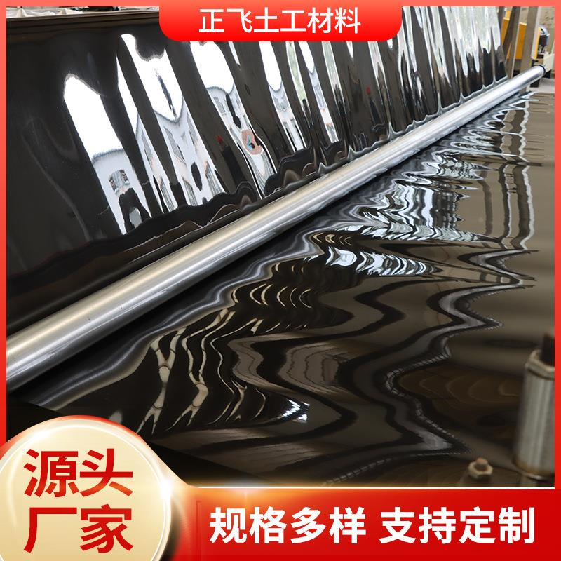 高密度聚乙土工膜hpNXVe防渗膜石油废渣填埋人工稀湖防尾矿渗土工