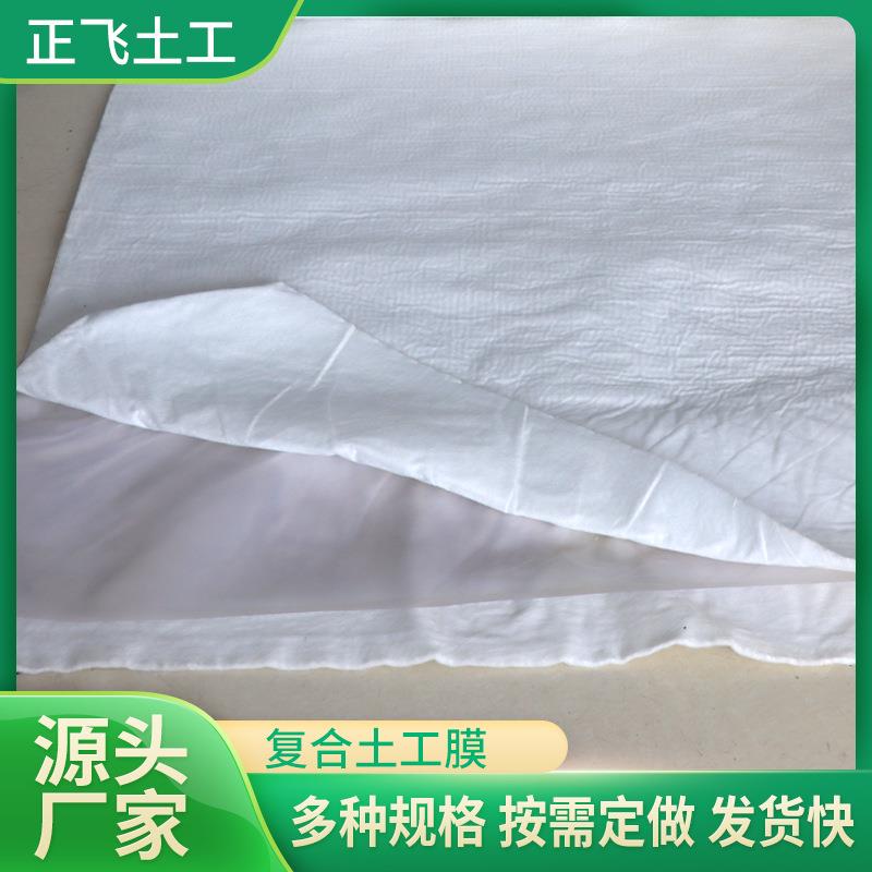 水产塘养殖水库堤坝工用YPX复合鱼两布程一膜膜垃圾填埋场复合土