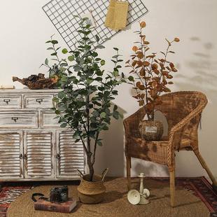 北欧仿真尤金钱尤加加利树假绿植吊植摆件日本钟物盆栽客厅落装地