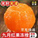 湖北秭归正宗九月红果冻橙现摘现发新鲜当季 京东快递 爆汁橙