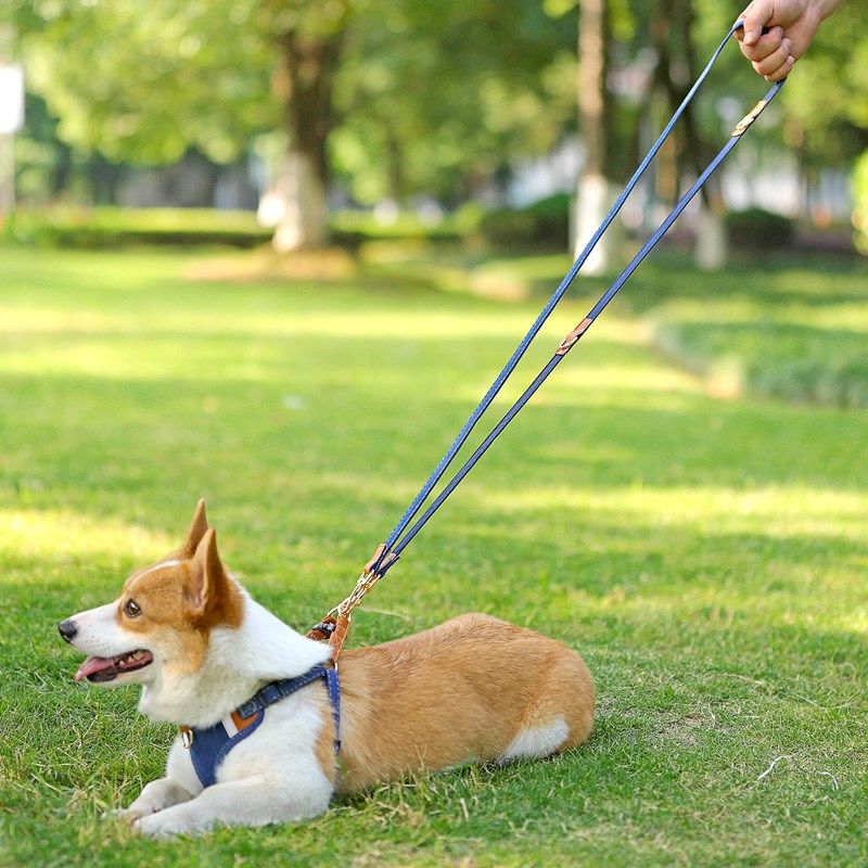 狗狗牵引绳中小型犬柯基法斗防挣脱可调节遛狗绳宠U物背心式胸背,宠物/宠物食品及用品,狗牵引绳,淘宝优惠券,粉丝福利购,淘宝优惠卷
