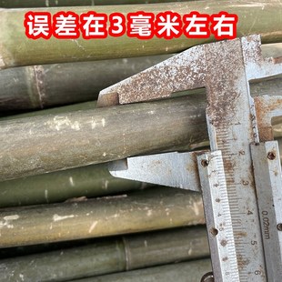 小竹竿菜园搭架细l竹子豆角番茄黄瓜葡萄蔬菜爬藤架篱笆栅栏23竹