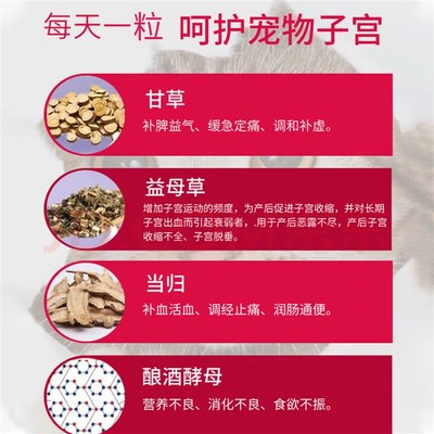 宫炎宁狗狗子宫蓄脓积液s猫咪产后护理母犬宠物生殖道感染宫脓清