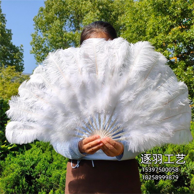 白色扇骨肚皮舞表演舞蹈演出羽毛扇子  欧式大中号W鸵鸟羽毛扇包