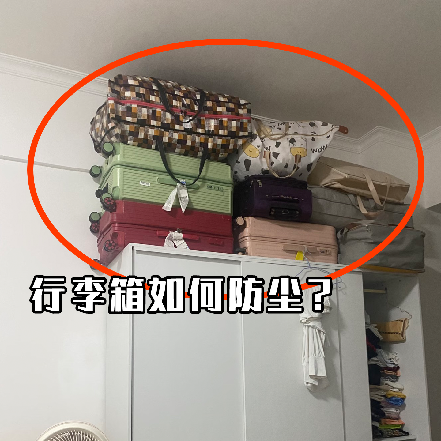 一次性行李箱保护套20寸24寸无纺布拉杆箱收纳用防尘罩其他收纳袋