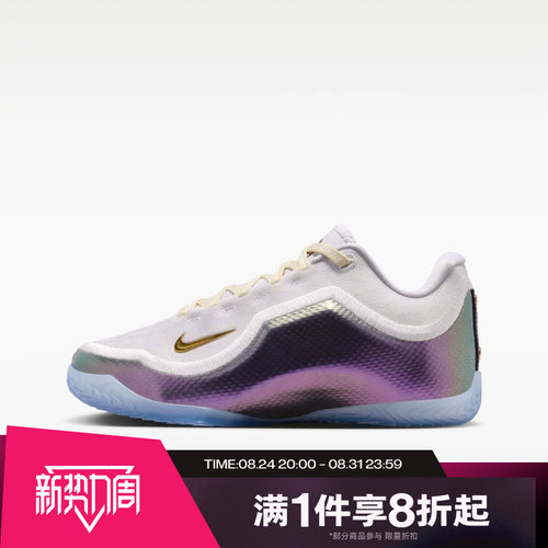 滔搏NIKE耐克大童鞋LEBRON XXIII FTR运动训练篮球鞋IV4873-102