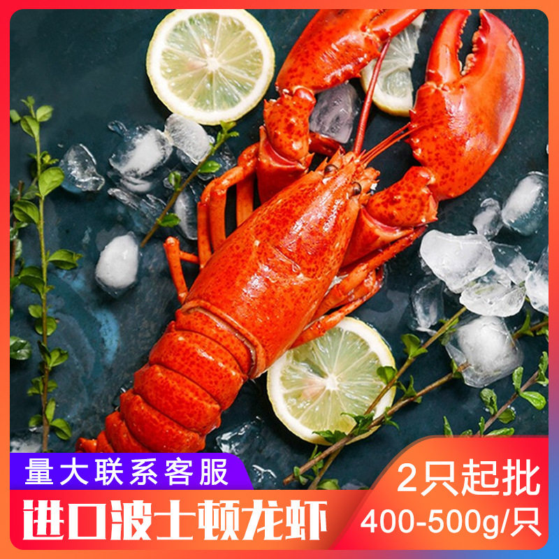 于小二加拿大熟冻波士顿龙虾麻辣龙虾烧龙虾食材海鲜新鲜冷冻波龙