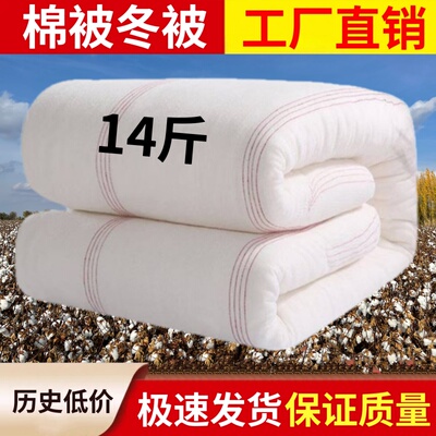 被子被芯棉被冬被被芯冬天加厚被子防寒单人棉胎保暖