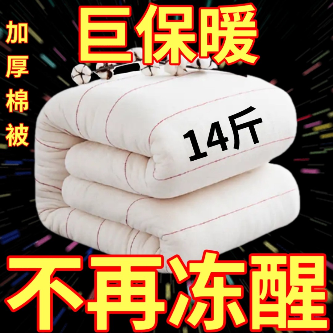 冬被棉胎被子宿舍盖垫两用被单人家用棉絮冬季加厚防寒