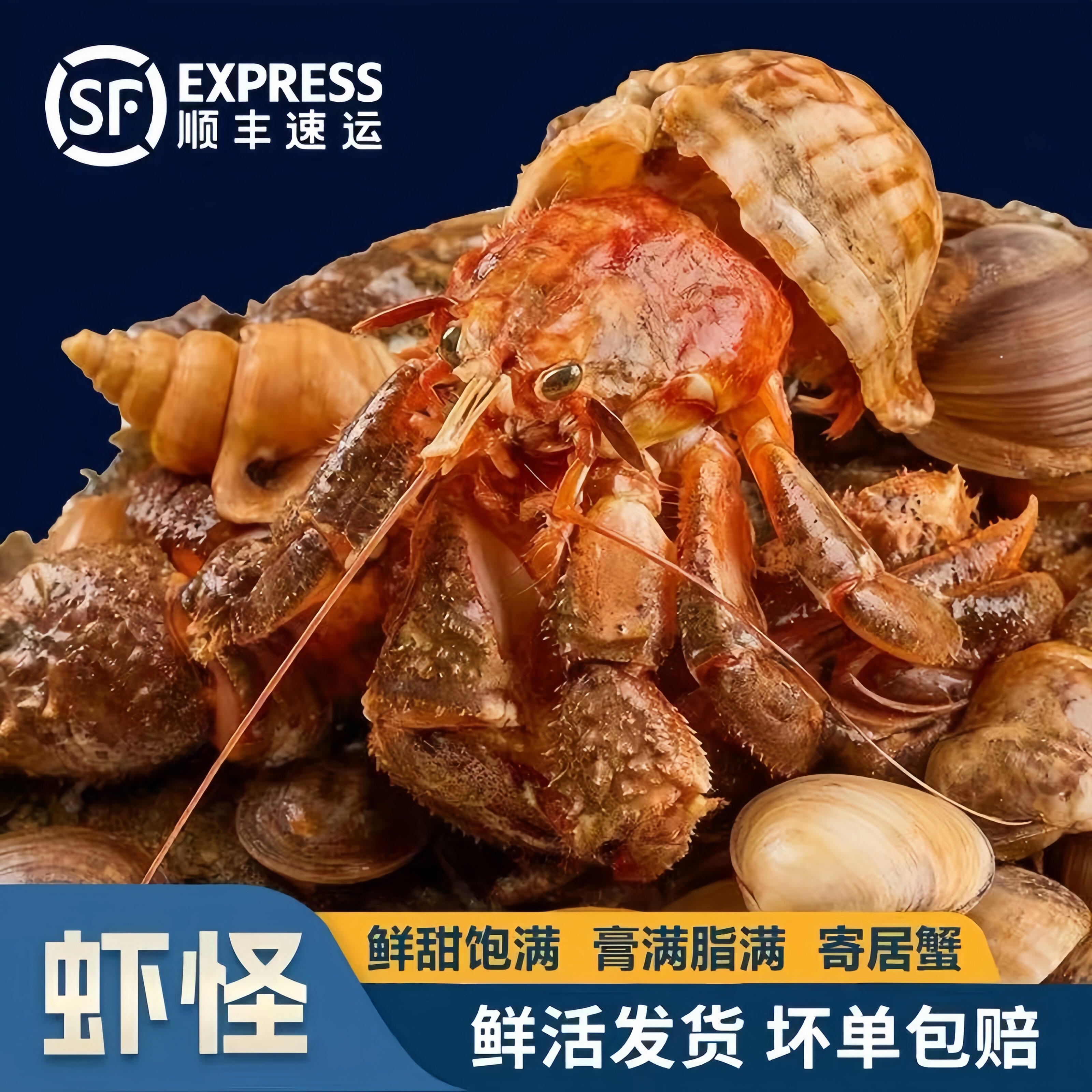 山东威海现捕新鲜食用虾怪海怪