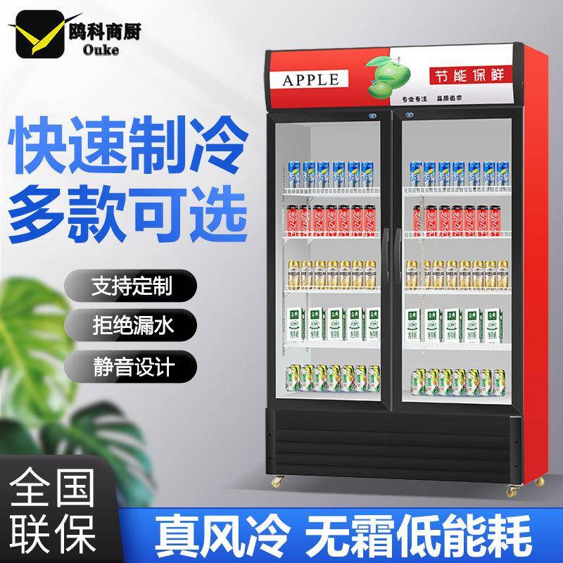 饮料柜冷藏展示柜立式商用冰箱单门保鲜柜冷柜双门啤酒柜超市饭店