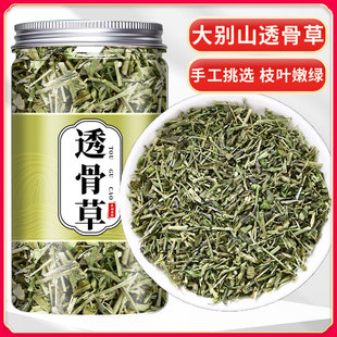 透骨草中药材500g正品旗舰店非野生新货珍珠透骨草散粉泡脚新鲜结