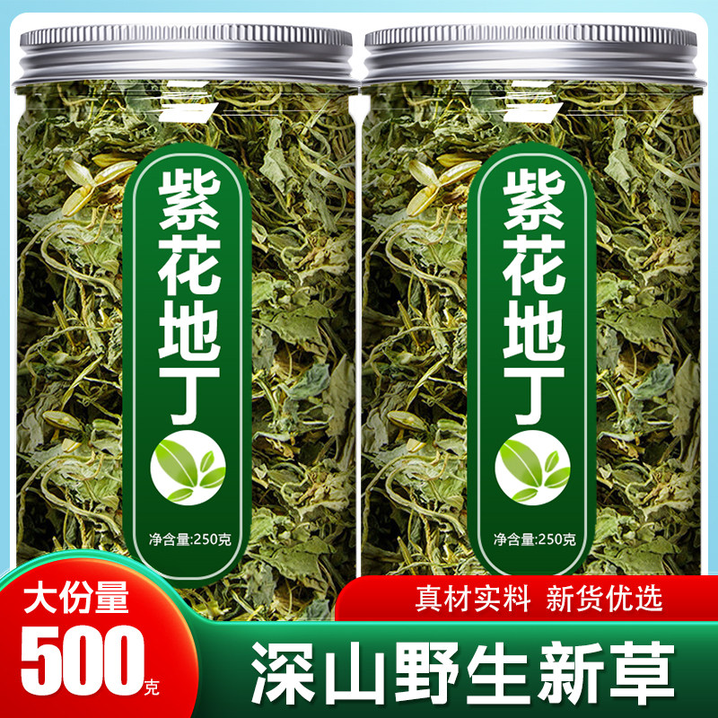紫花地丁中药材正品新鲜野生紫花犁头地丁草中草药茶的功效与作用