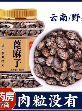 中药蓖麻子500g生蓖麻籽种子冰麻子毕麻子芘麻子红大麻子鲜蓖麻仁