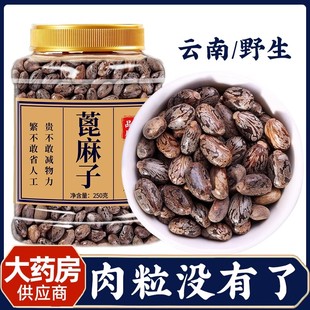 中药蓖麻子500g生蓖麻籽种子冰麻子毕麻子芘麻子红大麻子鲜蓖麻仁