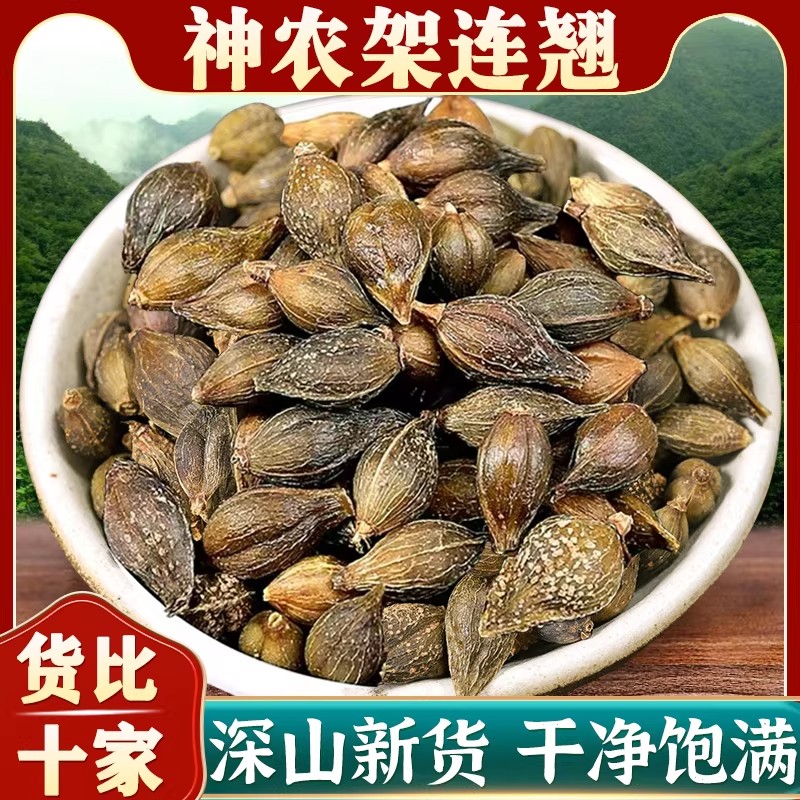野生连翘中药材正品500g贯叶连翘莲翘青翘果连翅老翘粉草药陈皮茶