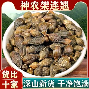 野生连翘中药材正品500g贯叶连翘莲翘青翘果连翅老翘粉草药陈皮茶