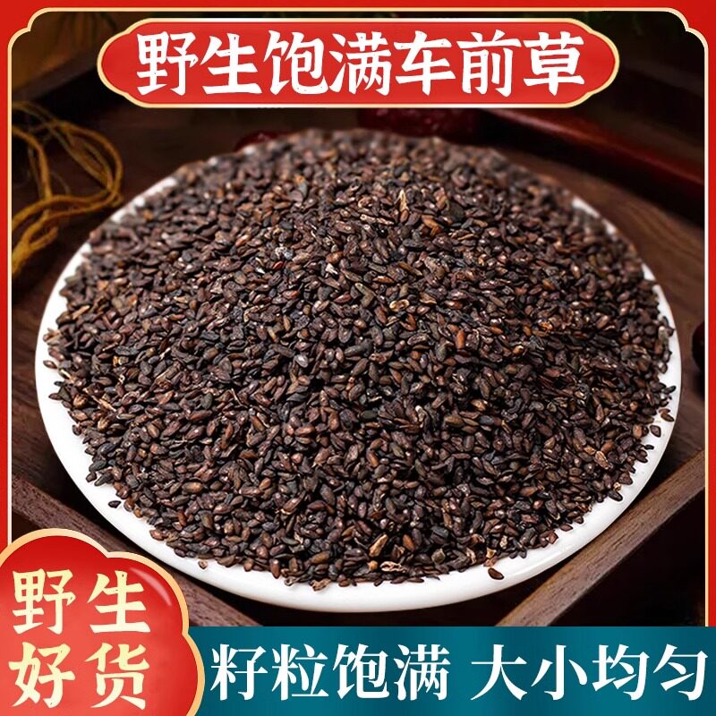 车前子中药材500g正品野生车前籽车前草籽新货无硫泡水泡茶车前草