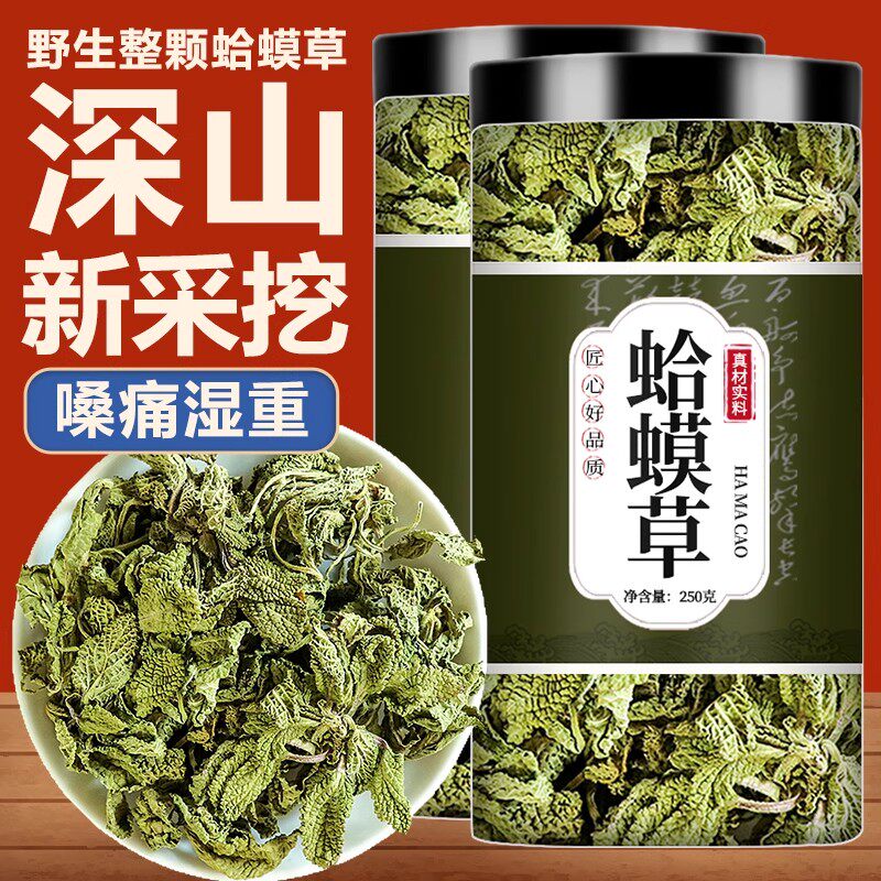 蛤蟆草中药材新鲜野生荔枝草雪见草河马草干赖癞蛤蟆草的功效泡水