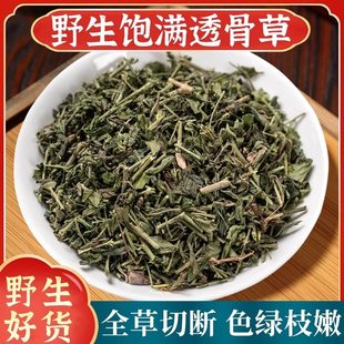 野生透骨草中药材正品500g珍珠透骨草中草药新货无硫泡水泡脚泡澡