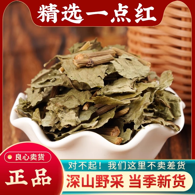 一点红中药材500g 云南野生叶下红 羊蹄草 红叶草 高含量中草药图片