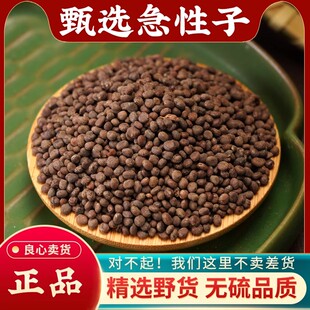 急性子中药材500g野生新凤仙花子指甲花籽正品新货精选急性籽药材