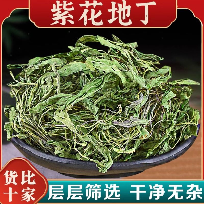 野生紫花地丁中药材500g犁头草新鲜干地丁草泡茶泡水紫花地丁草药