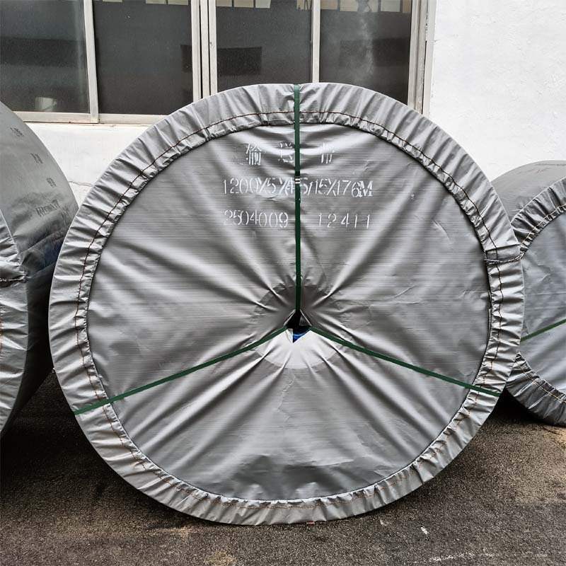 河北厂家 尼龙帆布输送带B1200砂石料运输带 化工厂耐酸碱皮带