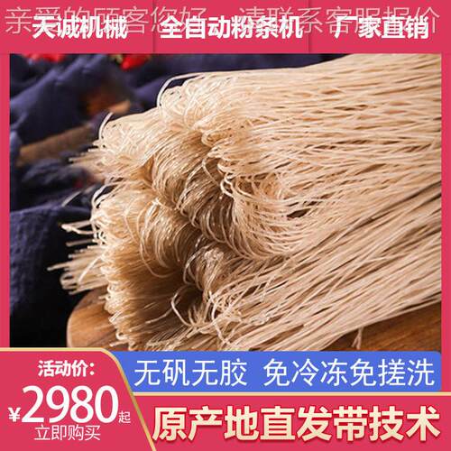厂直销大型粉条备加工家设 全红自动薯粉条粉丝TCF-60 T机器