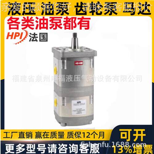 法国BI双联泵三联联四联齿轮油泵P1BAN205BA200串4BL1002N TEJC51