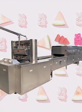 SE-7138A-150水果小熊软糖全自动生产线 糖果机 软糖浇注成型机
