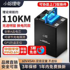 小哈电动车锂电池60V45AH磷酸铁锂外卖电瓶车台铃九号电池换电款