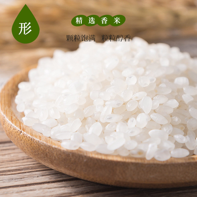 苏通绿禾胚芽米新米软香大米粳米图片
