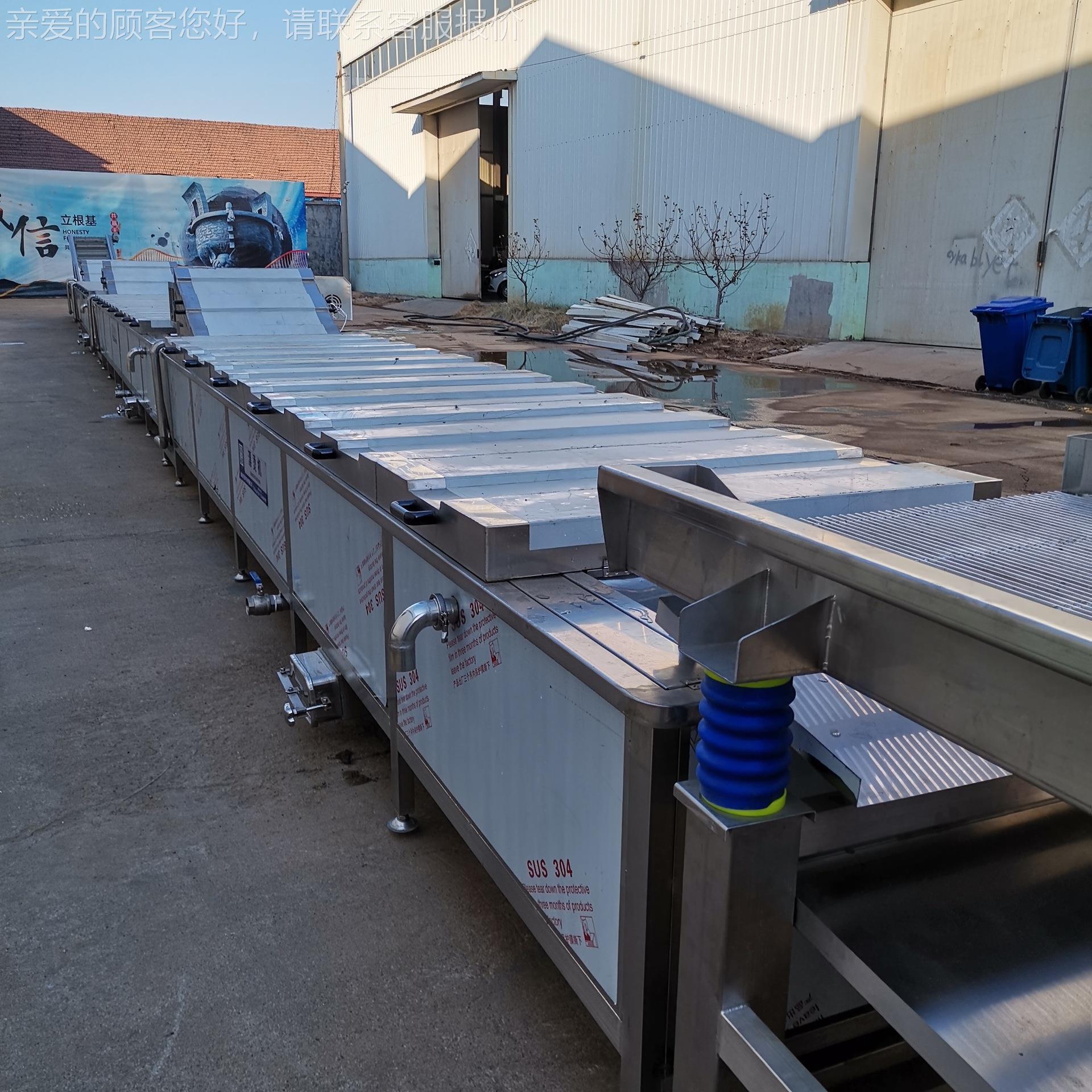 蔬菜烫菌机RYS工 海参莴苣连续式蒸煮漂烫线 水果加杀固色漂设备