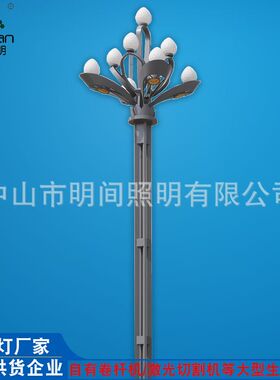 源头工厂6米多头广场玉兰灯直销  户外防水园林景观led中华灯