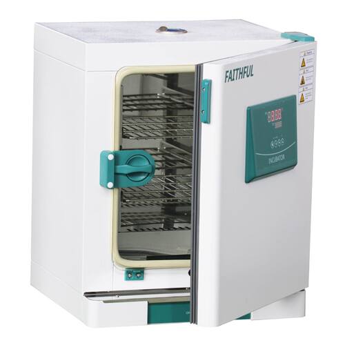 DH电热恒温培养箱DH3600Ⅱ 双层门结构 细菌微生物培养箱