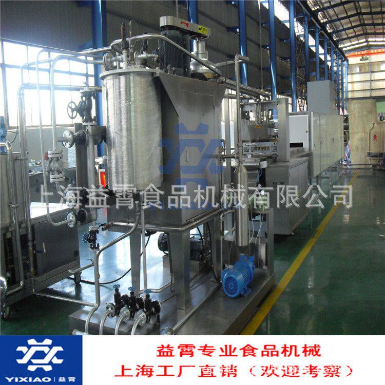 全自动果胶软糖浇注线 双色胶体糖果设备 休闲糖果设备视频 工艺
