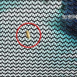 包邮 超大46人用全自动户外沙滩帐篷野外便携海边快开度假遮阳蓬