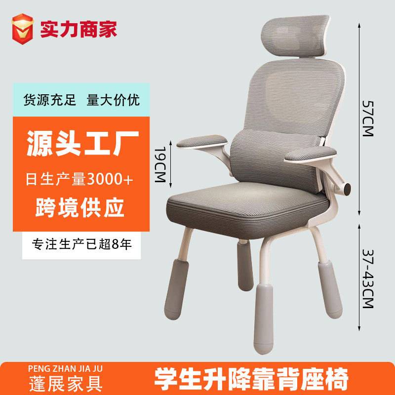 办公室座椅跨境久坐舒适电脑椅厂家 护腰网布靠背椅儿童学习椅