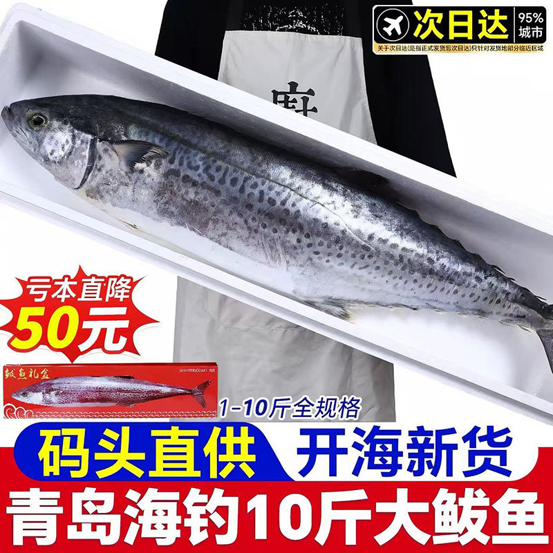 青岛大鲅鱼礼盒送礼马鲛鱼燕鲅鱼