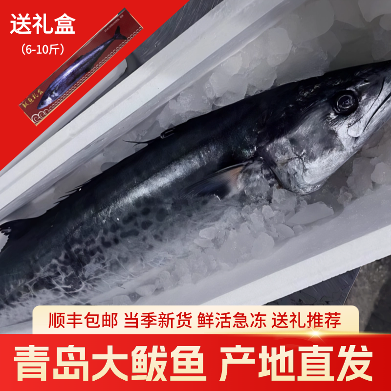 新鲜青岛大鲅鱼10斤礼盒装