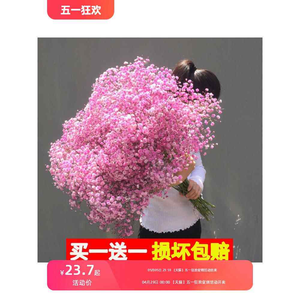 满天星超大束半干鲜花干花花束客厅摆设装饰摆件真花风干天然