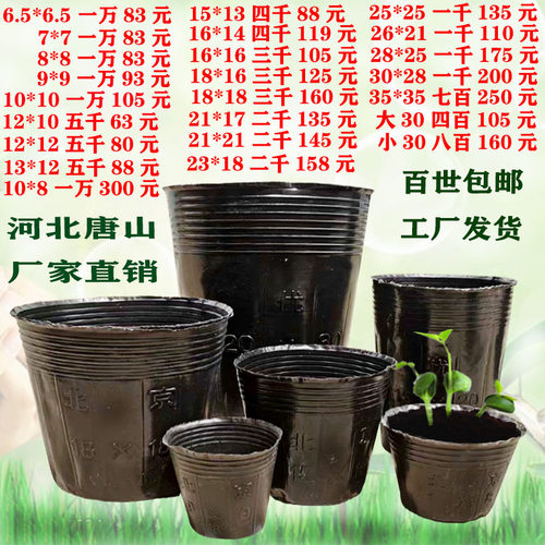 加厚营养钵育苗杯育苗袋一次性塑料厂家直销蔬菜杯 营养杯育秧盆