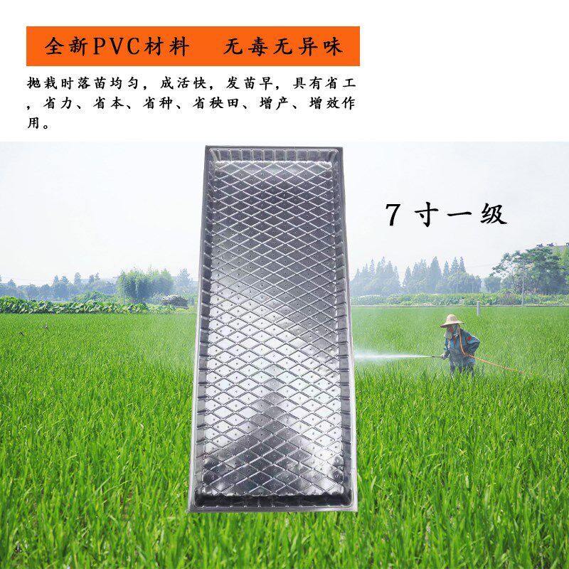 厂家直销塑料育苗盘水稻育秧盘麦苗种植盘育种盘托盘水稻机插软盘