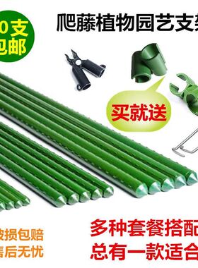 爬藤植物架子花架园艺支架包塑钢管支撑杆葡萄豆角番茄庭院瓜架