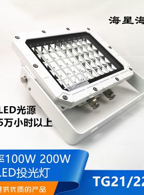 海星船用户外LED不锈钢投光灯射灯TG21/22-L探照灯CCS证100W200W
