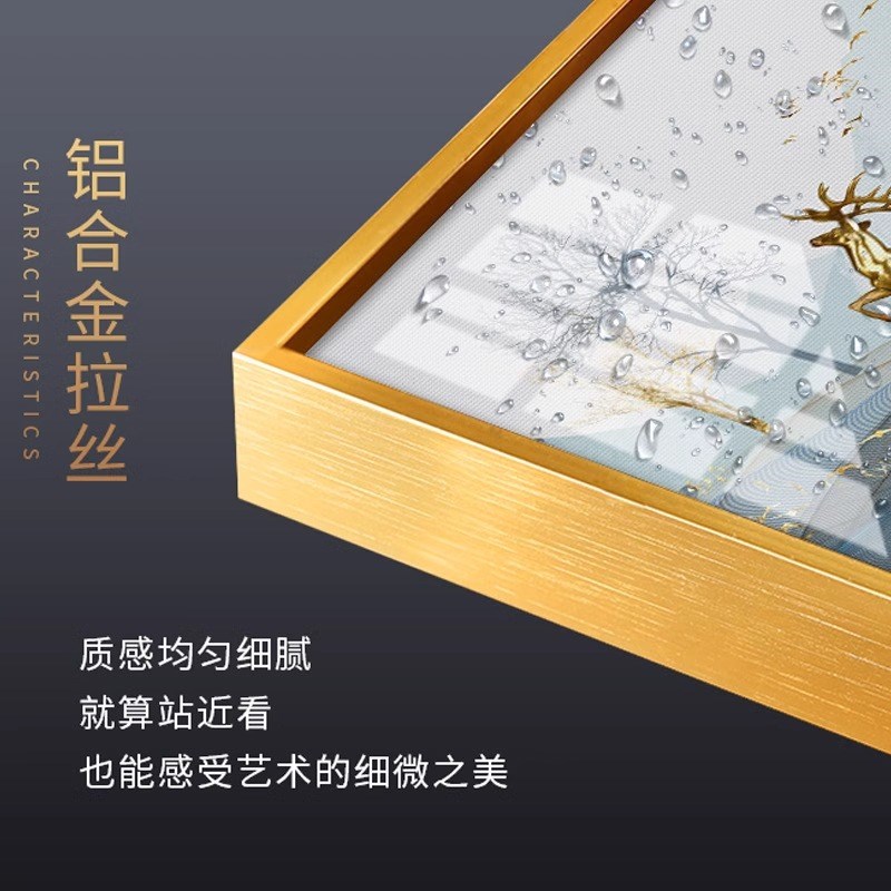 钻石画2025新款满钻客厅高级点砖贴画十字绣大气玄关双孔雀图2024